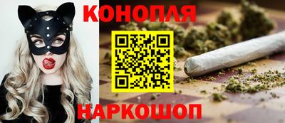 трава Кингисепп